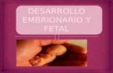 Desarrollo Embrionario y Fetal