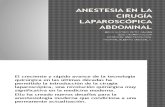 Anestesia en La Cirugía Laparoscópica Abdominal