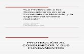Alberto Undurraga Proteccion a Los Consumidores (1)
