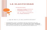 Diapositivas de La Elasticidad 3er Ciclo b[1]