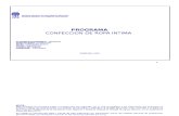 Programa Confeccion de Ropa Intima Corregido (Azul)