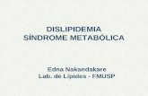 DISLIPIDEMIA SÍNDROME METABÓLICA Edna Nakandakare Lab. de Lípides - FMUSP.