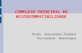 COMPLEXO PRINCIPAL DE HISTOCOMPATIBILIDADE Profa. Alessandra Pardini Disciplina: Imunologia.