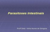 Parasitoses Intestinais Profª Delzi Vinha Nunes de Góngora.