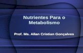 Nutrientes Para o Metabolismo Prof. Ms. Allan Cristian Gonçalves.