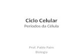 Ciclo Celular Períodos da Célula Prof. Pablo Paim Biologia.