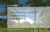 Encuestacep Mapuche Marzo Mayo2016