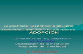 Adopción- Derechos Humanos