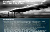 Contaminacion Ambiental g3-A