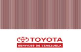 Toyota Services (1)