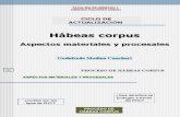 6.- Habeas Corpus 2014