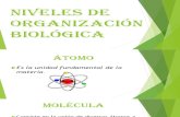 Niveles de Organización Biológica-diapositivas