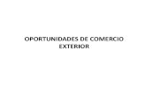 4oportunidades en Comercio Exterior - Gabina Tealdo de Rueda 4