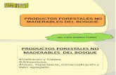 Clase 9. PFNM del bosque-Alimentos.pdf