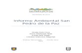 Informe Ambiental San Pedro de La Paz (1)