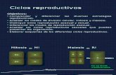 Botanica Ciclos Reproductivos