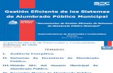 Seminario de Reglamentos de a.P. Herramientas de Gestión Eficiente de Sistemas de Alumbrado Público Municipal - 26012016