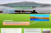 Proyectos Ambientales y Sustentabilidad1 ARGENTINA
