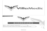 02 Microbiologia - 05 de Febrero - Online
