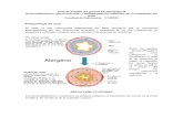 Guía de Estudio 3er parcial Farmacología II.pdf