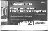 Java.21 Lecciones Avanzadas.2002.Programacion Orientada a Objetos.02
