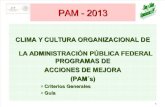 Criterios PAM 2013