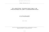 Plantas Tóxicas de Corrientes