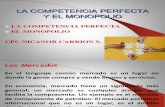 Comp perfecta y monopolio.pdf