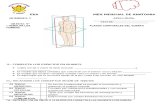 Examen Mensual de Anatomia
