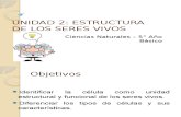 Ppt Estructura de Los Seres Vivos 5to.