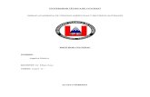 IDENTIDAD CULTURAL PUEBLOS Y NACIONALIDADES DEL ECUADRO.docx