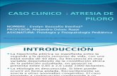 Atresia Del Piloro, Presentacion de Un Caso Clinico, Srta. Evelyn Basualto