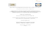 Producción y Comercialización del Vino de Naranja.doc