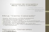 Presentación Cerro Coloratrydo Servicios 1 1