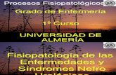 Tema 6. Procesos Fisiopatologicos Nefrourologicos 15-16