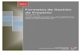 Formatos de Gestión de Proyecto.pdf