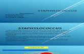 Staphylococcus Nuevo (1)