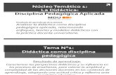 NT1 - Didáctica Como Disciplina Pedagógica Nº1