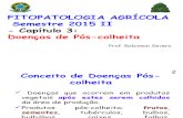 FITO AGRIC CAP 3 Doencas Pos Colheita 5-5-2016.pptx