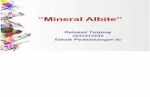 Mineral Albite