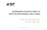 Escenarios Legales Para La Protección Animal en El Perú