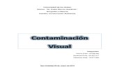 Ejemplo de Dossier contaminación visual