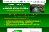 Cobertura y Producción Forestal en Guatemala