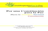 CONSTITUCION COMUNISTA SOCIALISTA DE FARC