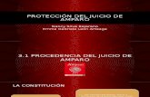 PROTECCIÓN DEL JUICIO DE AMPARO.pptx