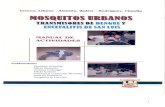 Mosquitos Urbanos Actividades Escuela Crocco Et Al