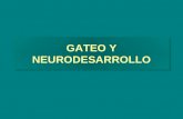 01.-Gateo y Neurodesarrollo