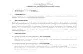 Derecho Procesal Penal (completo).doc