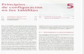 Tratado de Botanica 05 Principios de Configuracion de Los Talofitos Strasburger 35 Ed 2002