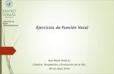 voz electivo (1) (1)